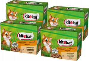 KITEKAT Delikatne smaki w sosie 48x100g