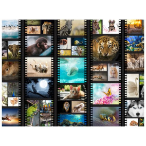 FOTOTAPETA  Zwierzęta w kadrze 200x150