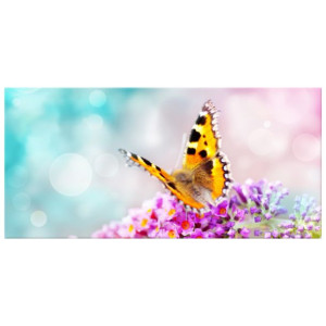 OBRAZ DRUKOWANY  Motyl na kwiatkach 115x55