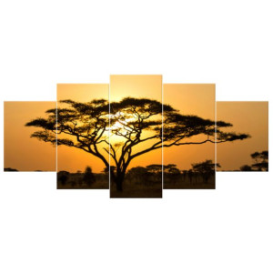 OBRAZ DRUKOWANY  Akacja w Serengeti 150x70