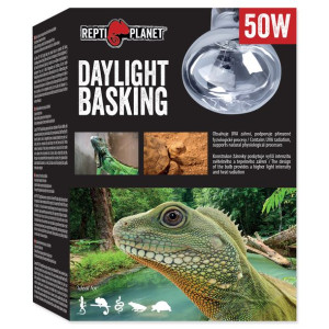 RP Żarówka  Daylight Basking Spot 50W