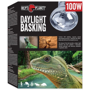 RP Żarówka  Daylight Basking Spot 100W