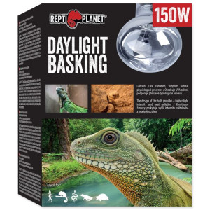 RP Żarówka  Daylight Basking Spot 150W