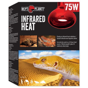 RP Żarówka  Infrared HEAT 75W