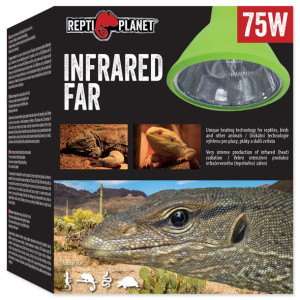 RP Żarówka  Far Infrared HEAT 75W