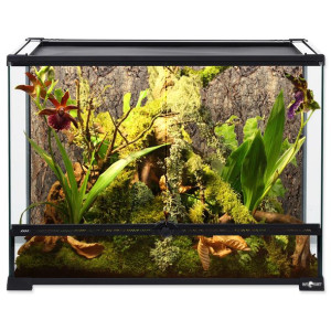 REPTI PLANET  terrarium szklane 60x45x45 cm