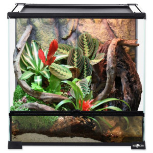 REPTI PLANET  terrarium szklane 60x45x60 cm
