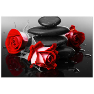 OBRAZ DRUKOWANY  Roses and spa 120x80