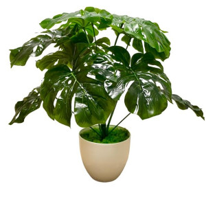 Kwiat doniczkowy monstera, Monstera w bukiecie, bukiet liści monstery, mons