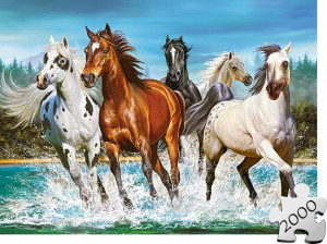 Puzzle CASTORLAND 2000 - Galopujące konie
