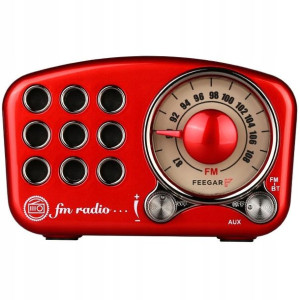 Feegar Głośnik Bezprzewodowy Bt Radio Fm Aux 10H