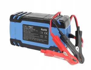 Automatyczny Prostownik Do Akumulatora 12v 24v