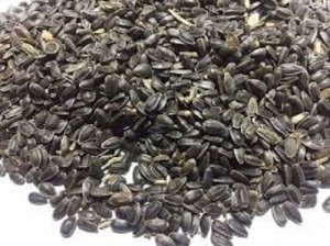 Słonecznik czarny karma dla ptaków 20kg