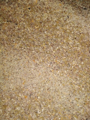 Pasza dla kur niosek 25kg Naturalna ZIARNO