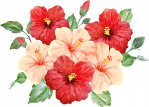 NALEPKI czerwone KWIATY hibiskus zestaw ścianę M