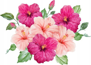NAKLEJKI kwiaty HIBISKUS różowe zestaw ścienne S