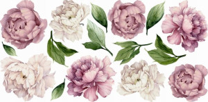 Naklejka ścianę PIWONIE zestaw kwiaty peonie 100cm
