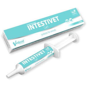 Intestivet Gel Pasta Dla Zwierząt 15 ml