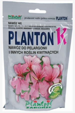 Planton K Pelargonii