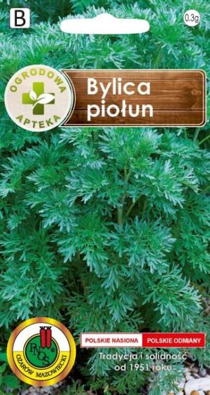 Bylica Piołun Mrozoodporna Wieloletnia Pnos