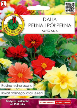 Dalia Pełna I Pólpełna Mieszana 0,3g Obficie Kwitnie Pnos