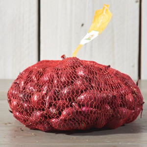 Cebula Dymka Czerwona 0,5kg Karmen Słodko/ostra