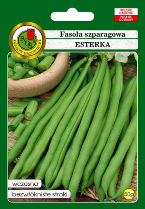 Fasola Szparagowa Zielona Karłowa Esterka 20g Wczesna Pnos