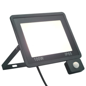 Reflektor LED z czujnikiem, 100 W, zimne białe światło