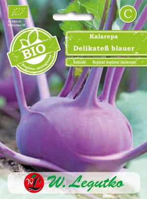 Bio Kalarepa Fioletowa Delikatess Blauer 3 Nasiona Ekologiczne 1g