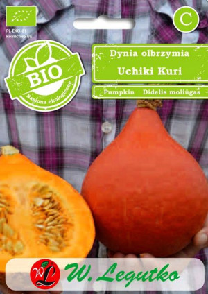 Bio Dynia Olbrzymia Uchiki Kuri (hokkaido) Nasiona Ekologiczne 2g