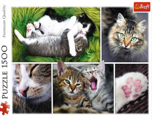 Puzzle Trefl Kocie sprawy kolaż 26145
