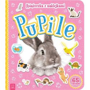 AKSJ pupile książeczka z naklejkami 65450
