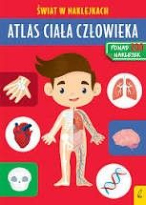 Wilga 76181 atlas ciała człowieka. Świat w naklejkach