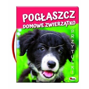 Morex Pogłaszcz Domowe Zwierzątko 11170
