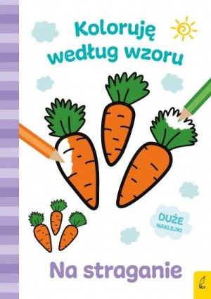 Wilga 72015 Na Straganie