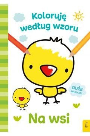 Wilga 72039 Na Wsi