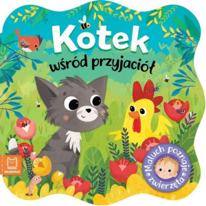 AKSJ kotek wśród przyjaciół 67010