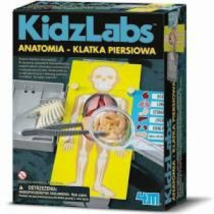 Rus 3373 anatomia klatka piersiowa