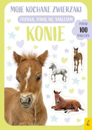Wilga 90699 Konie