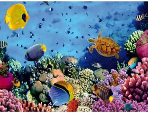 Diamentowa mozaika ocean 49353 Norimpex