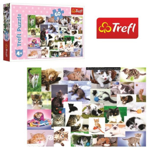 Puzzle Trefl 60 17332 Koci Świat