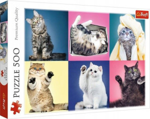 Puzzle trefl 500 37377 kociaki