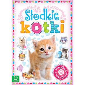 AKSJ minialbum z naklejkami słodkie kotki 64347