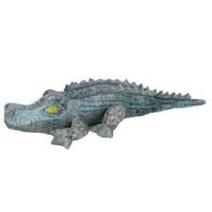 Beppe 13756 aligator 53 cm