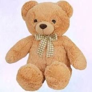 Beppe 13758 miś buddy 55 cm