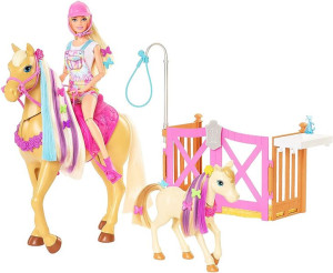 Barbie - Koniki Stylizacja I Opieka - Zestaw - Gxv77