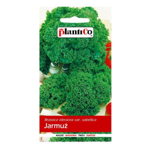 Jarmuż kędzierzawy