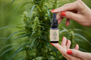 Polski Olej Konopny 5% CBD dla zwierząt psa kota