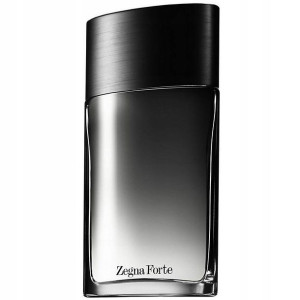 Ermenegildo Zegna Zegna Forte woda toaletowa spray 50ml