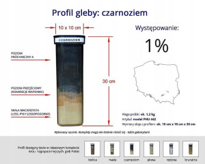 Profil gleby gleba próbki - czarnoziemu PHU442